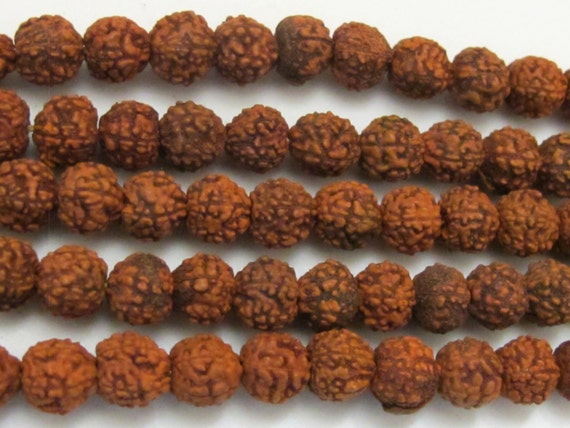 SALE - 10 Beads Natural Rudraksha seed beads from Nepal 6 mm spacer mala beads  - NB127- CBA
