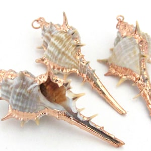 May include: Three sea shell pendants with a copper-colored metal trim. The shells are a mix of beige and white with a spiky texture. Each shell has a loop at the top for hanging.