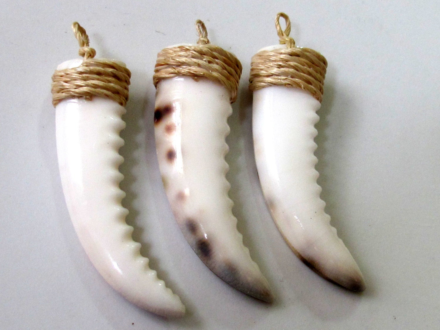 Cowry Shell Teeth 1 Pendant Carved Cowrie Shell Tooth Shape Tribal Pendant - Etsy