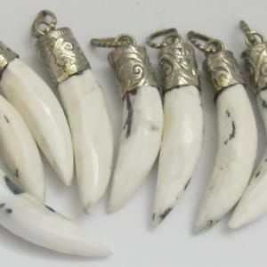 May include: A collection of ivory-colored pendants shaped like fangs, each with a silver-colored metal cap featuring an ornate design. The pendants are arranged in a row, showcasing their individual shapes and textures. The pendants are likely for jewelry making.