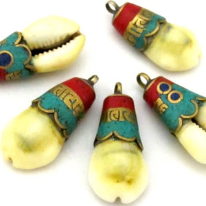 May include: Five seashell pendants with decorative metal caps in red, turquoise, and gold. The pendants have a small loop at the top for hanging. The seashells are cream-colored and have a natural shape.