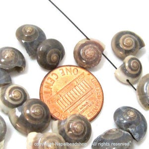 May include: A collection of small, spiral-shaped beads in shades of gray, brown, and cream, with a penny for size comparison. The beads are strung on a black thread, suggesting they are for jewelry making or crafts.