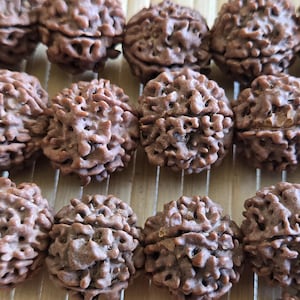 May include: Close-up of several brown, textured rudraksha beads. The beads have a natural, organic appearance with intricate patterns and ridges. They are arranged in rows, showcasing their unique shapes and textures.