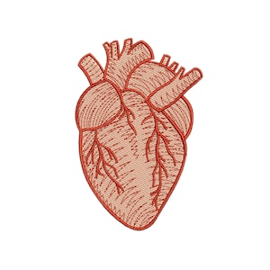 MACHINE EMBROIDERY DESIGN - Natural heart, anatomical heart, medical embroidery, realistic heart design, Human Heart