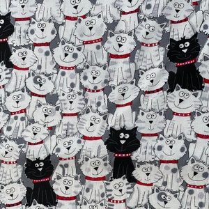 White & Black Cats