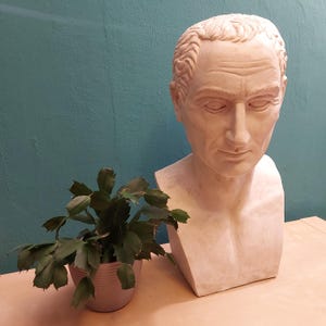 Julius Caesar bust ( large 44cm )