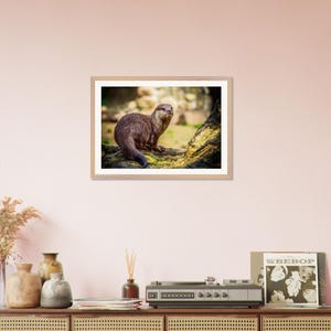 Poster incorniciato di belle arti con la fauna selvatica della lontra incantevole - Qualità museale, pronto da appendere, materiali sostenibili - regalo perfetto per gli amanti della natura