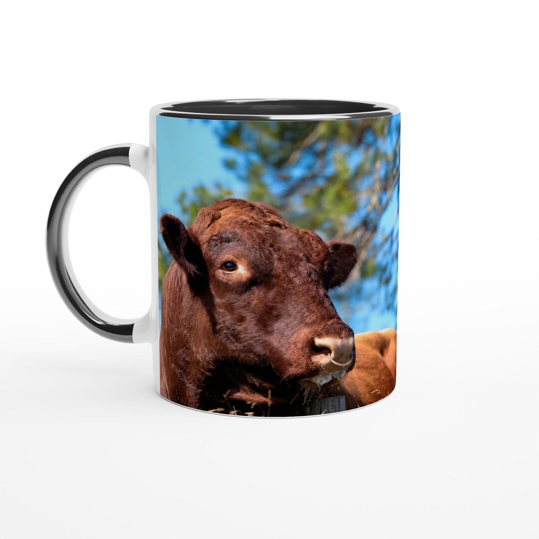 Bull Photo Coffee Mug: Farmhouse Country Decor, Nick Mellor Photograph ...