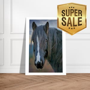 Captivating Black Beauty Pony Fine Art Print for Horse and Pony Lovers, country home gift,  farm house gift, gift for a question art lover.
