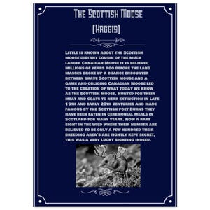 Poster di qualità museale Scottish Moose con colori vivaci / Stampa A3 su carta opaca ecologica per amanti dell'arte e designer
