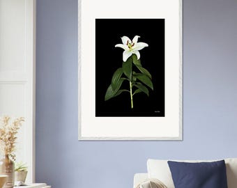 From our Flower collection of Premium Wooden Framed Poster Set Museum-Quality Matte Paper & Ready-to-Hang Size: 16” x 20” 3 frame colours