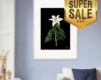 From our Flower collection of Premium Wooden Framed Poster Set Museum-Quality Matte Paper & Ready-to-Hang Size: 16” x 20” 3 frame colours