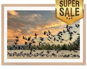 Luxury Wooden Framed Geese at Sunrise Matte Poster with Plexiglass Protection - Museum Quality A2 Size - Ready to Hang