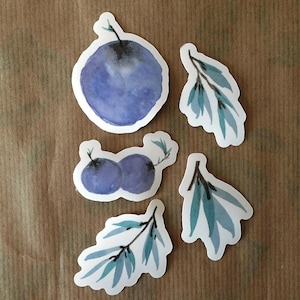 Blueberry tree stickers - set of 5