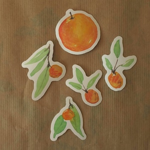 Orange tree stickers - set of 5