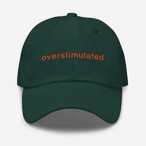 Embroidered Hat, Overstimulated Dad Hat, Introvert Dad Cap, Minimalist Emotional Support Hat, Neurodivergent Birthday Gift, Gift for Her