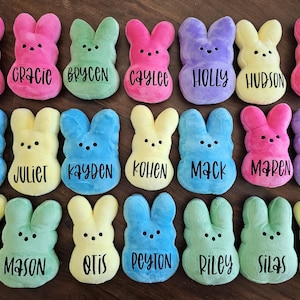 Oster-Peep-Plüschtier, personalisiertes Oster-Peep-Plüschtier, Häschen-Plüschtier mit Namen, Osterkorb-Stuffer, Häschen