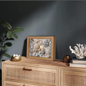 May include: A wooden shadow box displaying a collection of seashells. The shells are in shades of cream, beige, and brown, with detailed patterns. The frame is light-coloured wood. The display sits on a wooden cabinet, with other decorative items.