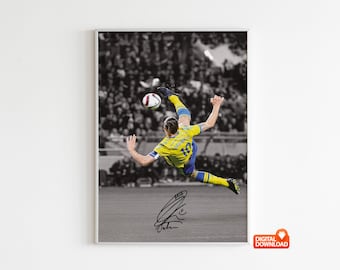 ズラタン・イブラヒモビッチ バイシクルキック スウェーデンサッカー