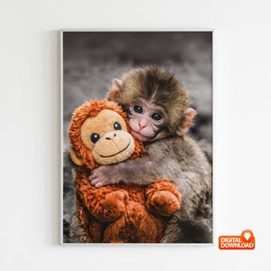 May include: A framed print showing a baby monkey cuddling a soft toy monkey. The baby monkey has brown fur and is embracing the orange plush toy. The background is a blurred grayscale image.