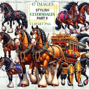 Horse Clipart Clydesdale Bundle Fashion Saddles, Braided Manes, Parade & Carriage Horses or Hair Western PNG for Sublimation Decor Wall Art