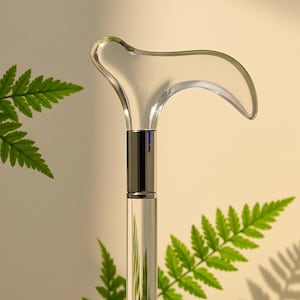 Puede incluir: Bastón con mango transparente y curvado y un eje de metal plateado. El mango tiene forma de ola estilizada. El bastón se encuentra sobre un fondo suave y neutro con hojas verdes de helecho.