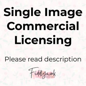Extended Commercial License (Single Image)