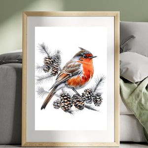 Robin Line Drawing Digital Download | Robin Redbreast Art | Bird Sketch | Bird Artwork | Wildlife Drawing | Bird Pencil Drawing | Bird Gift