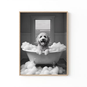 Könnte beinhalten: Schwarz-Weiß-Druck eines Hundes in einer mit Blasen gefüllten Badewanne. Der Hund hat helles Fell und scheint zu lächeln. Die weiße Badewanne hat Löwenfüße. Im Hintergrund ist ein Fenster zu sehen.