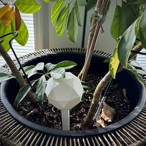 Self Watering Globes for Indoor & Outdoor Plants Automatic Watering Bulbs for Houseplants, Hanging Baskets, Garden and Potted Plants