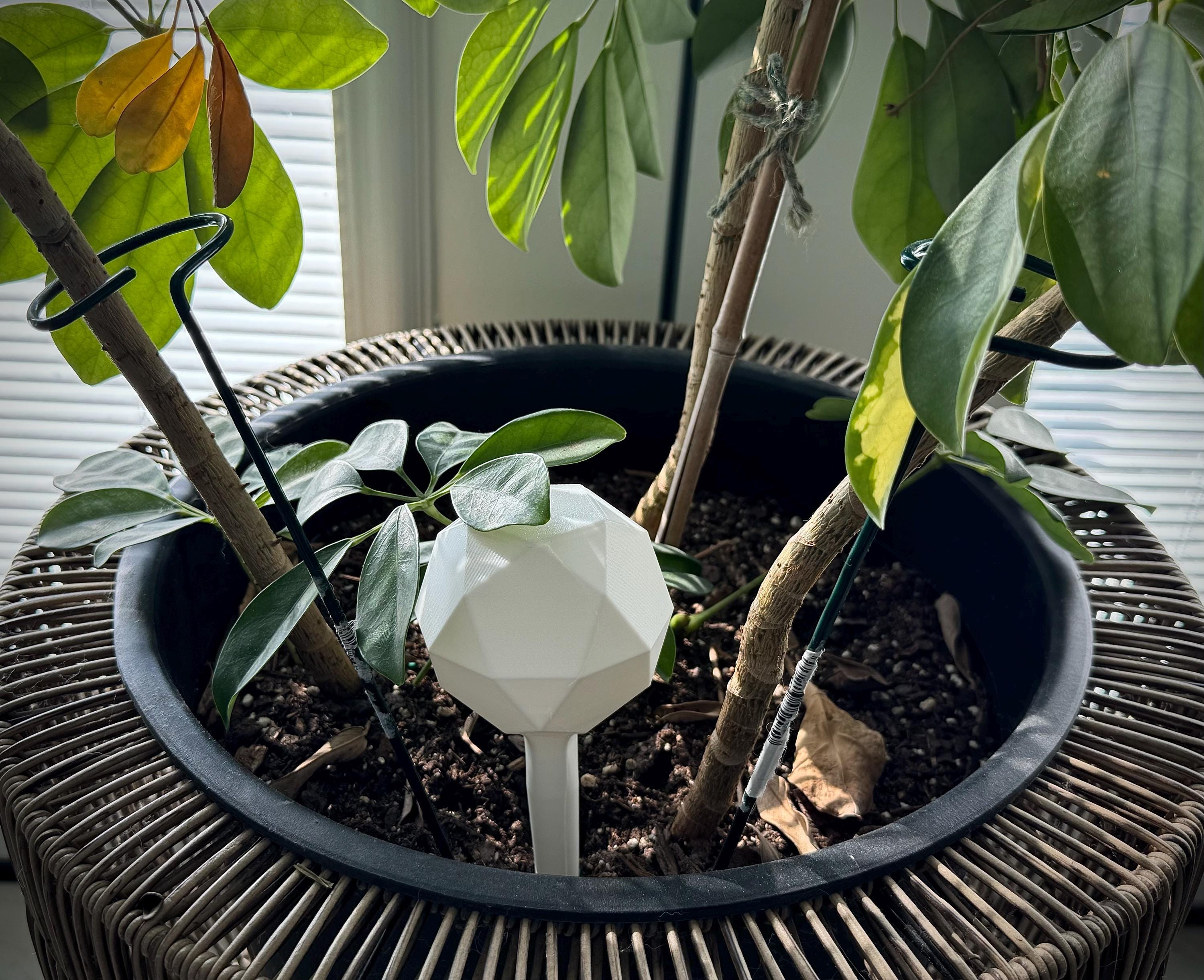 Self Watering Globes for Indoor & Outdoor Plants Automatic Watering Bulbs for Houseplants, Hanging Baskets, Garden and Potted Plants