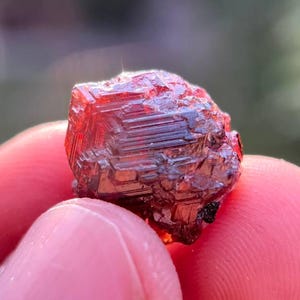 May include: A small, faceted, red-orange mineral specimen. The crystal has a geometric shape with visible striations and a slightly rough texture. The mineral is held between fingers against a blurred green background.