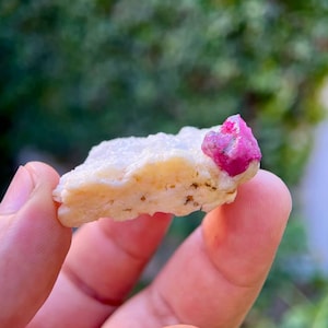 Può includere: Una gemma naturale grezza con un vibrante cristallo di rubino rosa su una matrice di colore chiaro. Il rubino è il punto focale, che mostra il suo colore ricco e la sua struttura cristallina. La pietra è tenuta tra le dita, con uno sfondo verde sfocato.