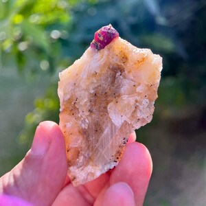 May include: A rough-cut, light-colored stone with a vibrant red gemstone embedded at the top. The stone has a natural, textured appearance with small dark specks. The background is a blurred view of green foliage.