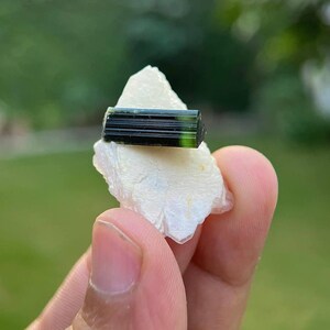 May include: A dark green and black tourmaline crystal on a white crystal matrix. The crystal is about 1 inch long and has a smooth, polished surface.