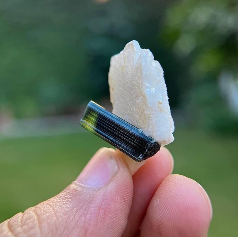 May include: A green and black tourmaline crystal with a clear quartz point. The crystal is about 2 inches long and has a smooth, polished surface.