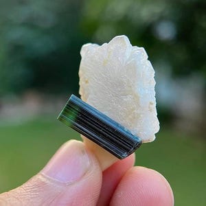 May include: A dark green tourmaline crystal with striations on the surface, attached to a white quartz crystal cluster.