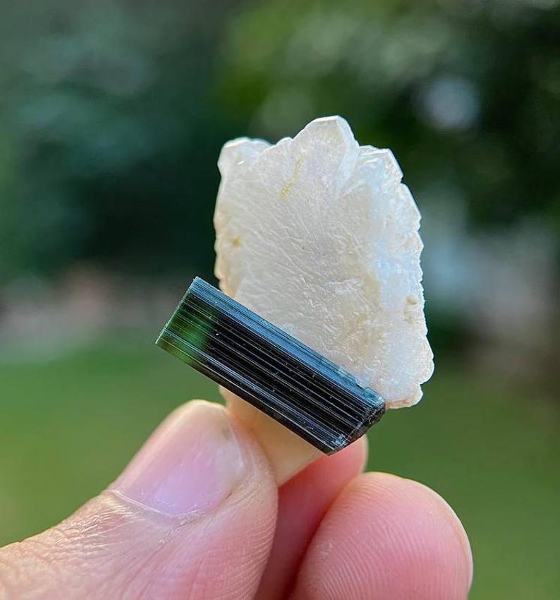 May include: A dark green tourmaline crystal with striations on the surface, attached to a white quartz crystal cluster.