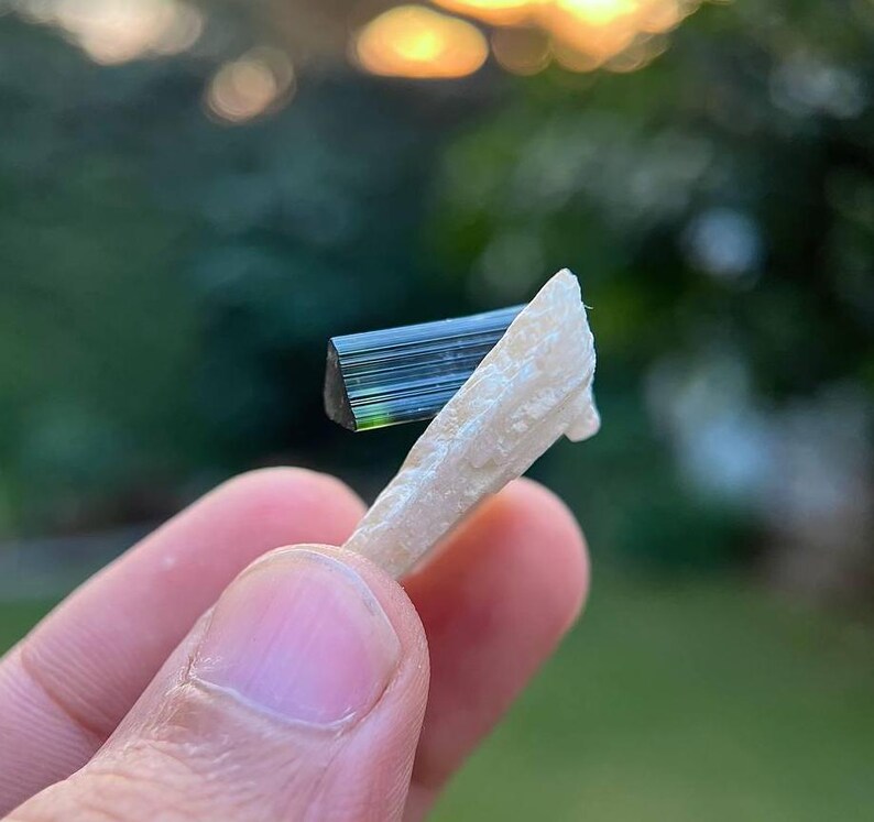 May include: A dark green and black crystal with striations is held by a hand. The crystal is attached to a white, organic-looking piece of material.