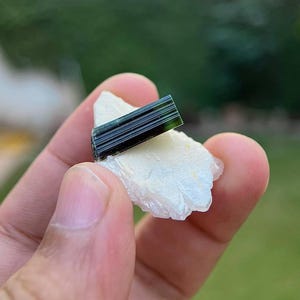 May include: A dark green tourmaline crystal on a white quartz matrix. The crystal is long and slender with striations on its surface.