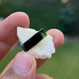 May include: A dark green and black tourmaline crystal on a white matrix. The crystal is about 1 inch long and has a smooth, polished surface.