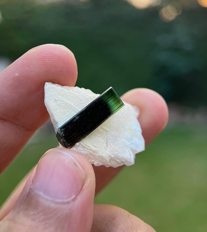 May include: A dark green and black tourmaline crystal on a white matrix. The crystal is about 1 inch long and has a smooth, polished surface.