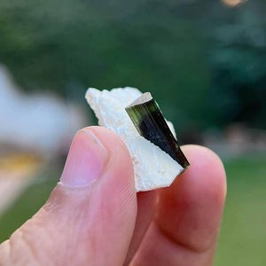 May include: A close-up of a dark green and black crystal on a white rock. The crystal is long and thin, with a pointed end.