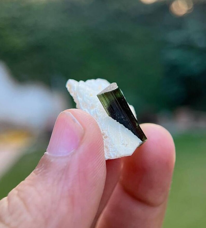 May include: A close-up of a dark green and black crystal on a white rock. The crystal is long and thin, with a pointed end.