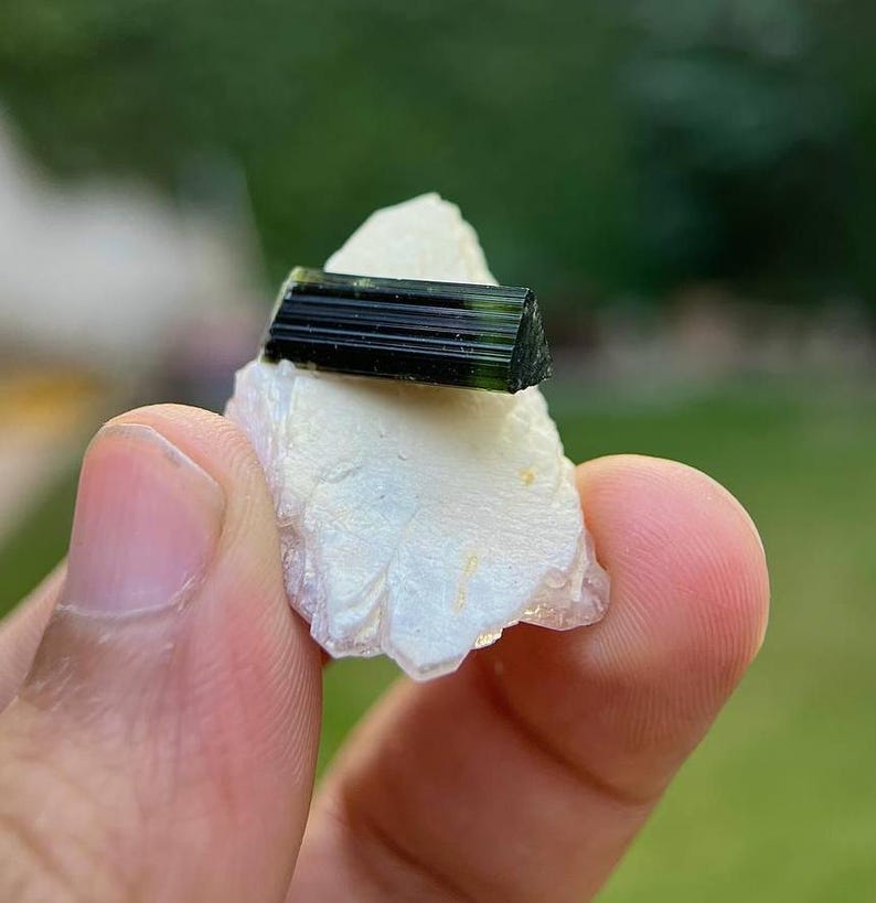May include: A small, dark green and black crystal on a white rock. The crystal is pointed and has a striated surface.