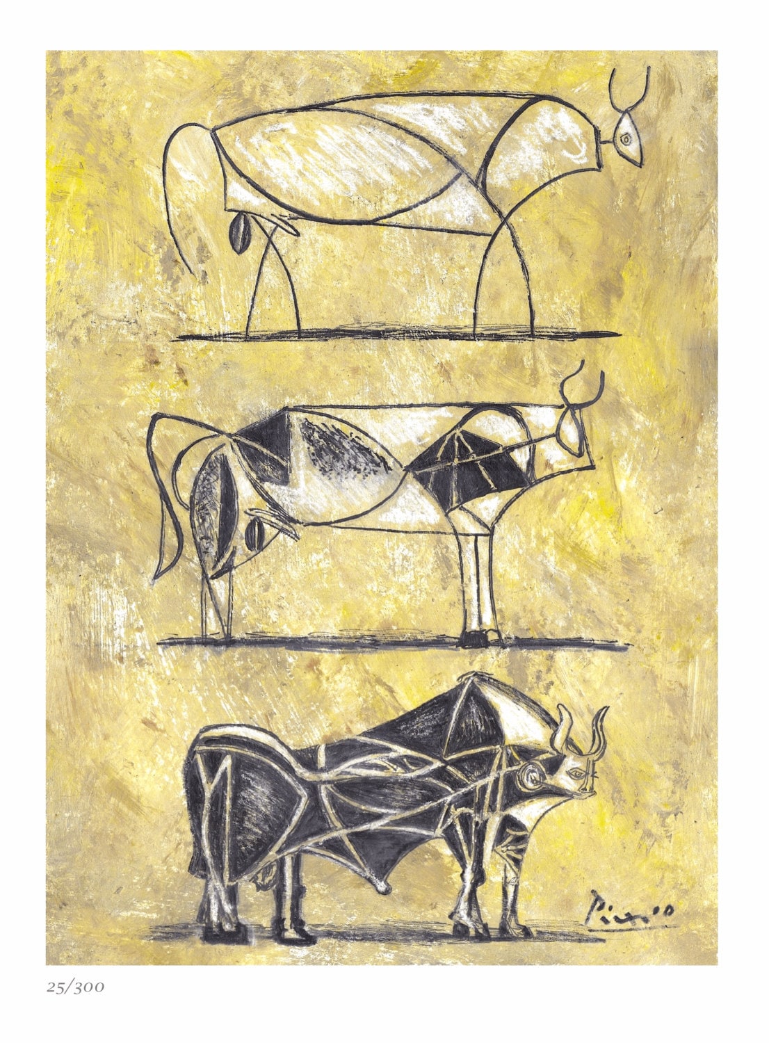 What We Learned from the Evolution of Picasso Bull