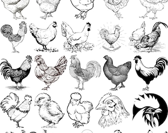 Huhn SVG Bundle, verrücktes Huhn svg, lustiges Huhn Kontur, Huhn Vektor, Huhn svg, Huhn Clipart, Huhn SVG Cut Files Cricut,