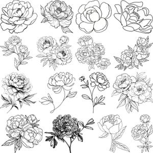 Peonies svg bundle, Peony eps, Peony vector, Peony cut files, Peony Clipart, Peony Cut Files For Cricut,Wedding Peonies, Peony Floral Design