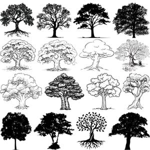 Oak Tree Svg Bundle, Oak Tree Vector, Outdoor SVG, Bonsai Tree Design Cut Files Cricut, Oak Tree Silhouette, Oak Tree Clipart