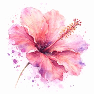 May include: Watercolor painting of a pink hibiscus flower with a long stem and a detailed stamen. The flower has multiple layers of petals in shades of pink and red, with purple accents. Splatter effects in purple and pink surround the flower.